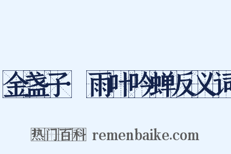 金盏子·雨叶吟蝉反义词是什么意思的图片